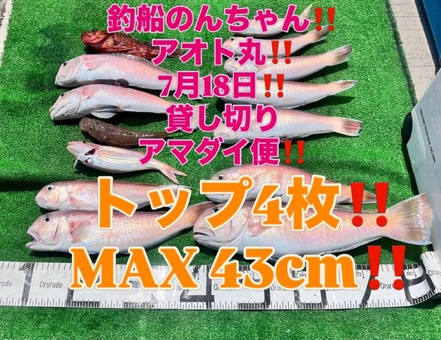 シロアマダイ