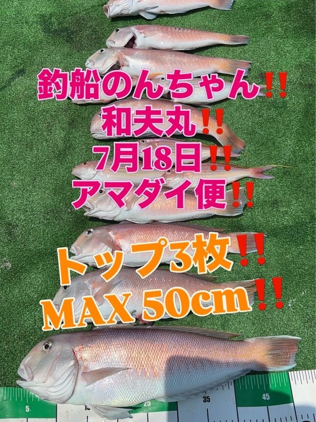シロアマダイ