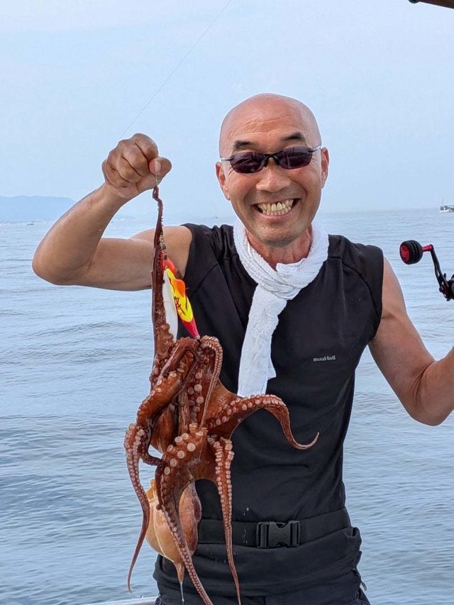 マダコ
