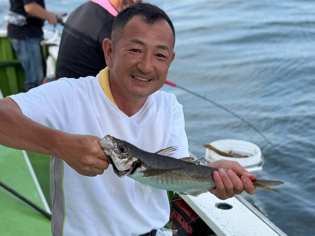 アジ(マアジ)