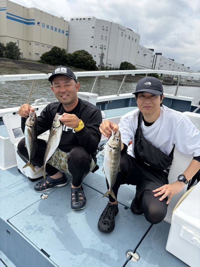 アジ(マアジ)