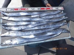 タチウオ