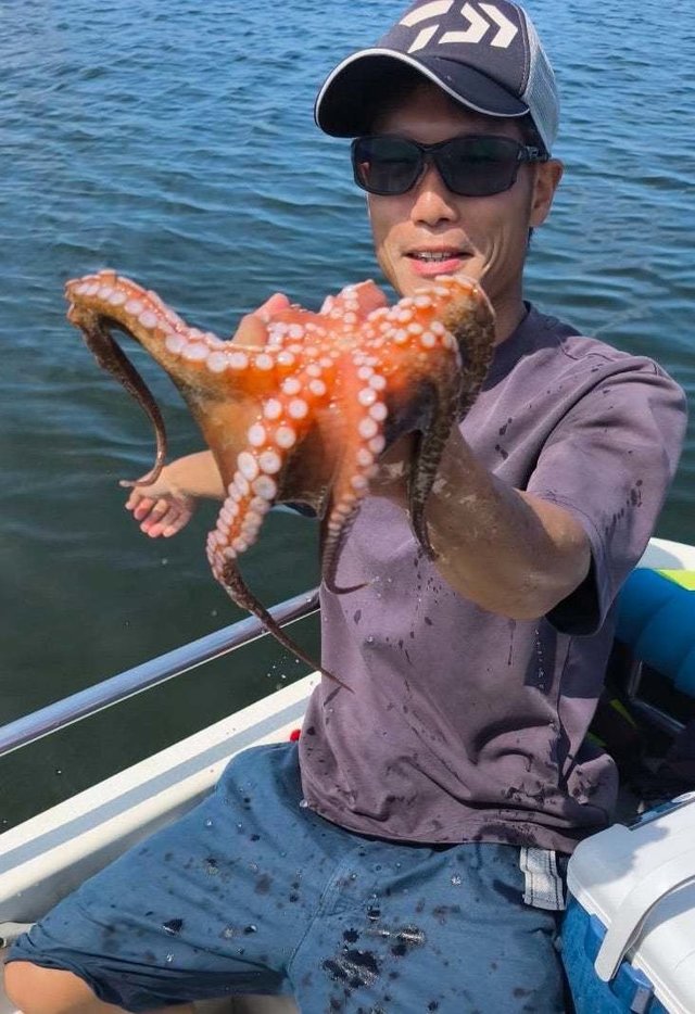 タコ(マダコ)
