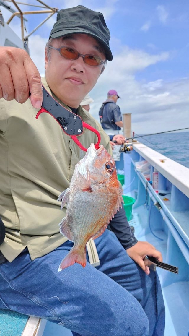 マダイ