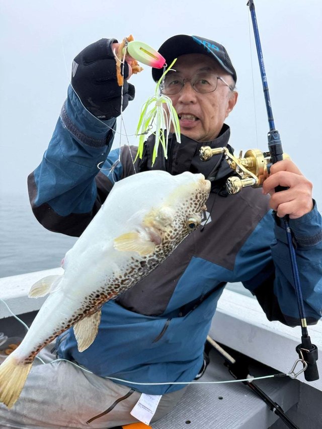 ショウサイフク(ショウサイフグ)