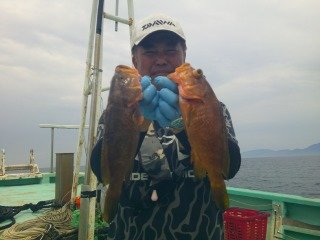 キジハタ
