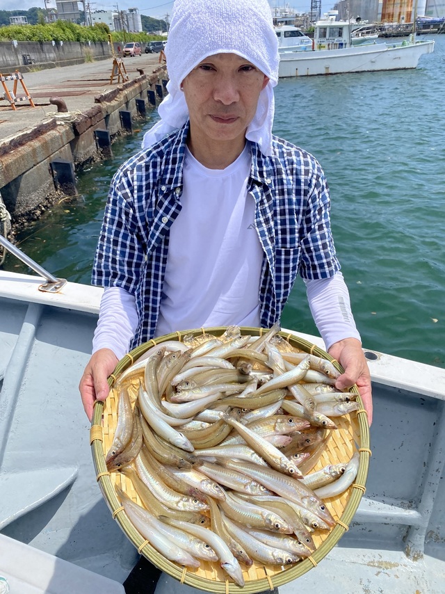 シロギス