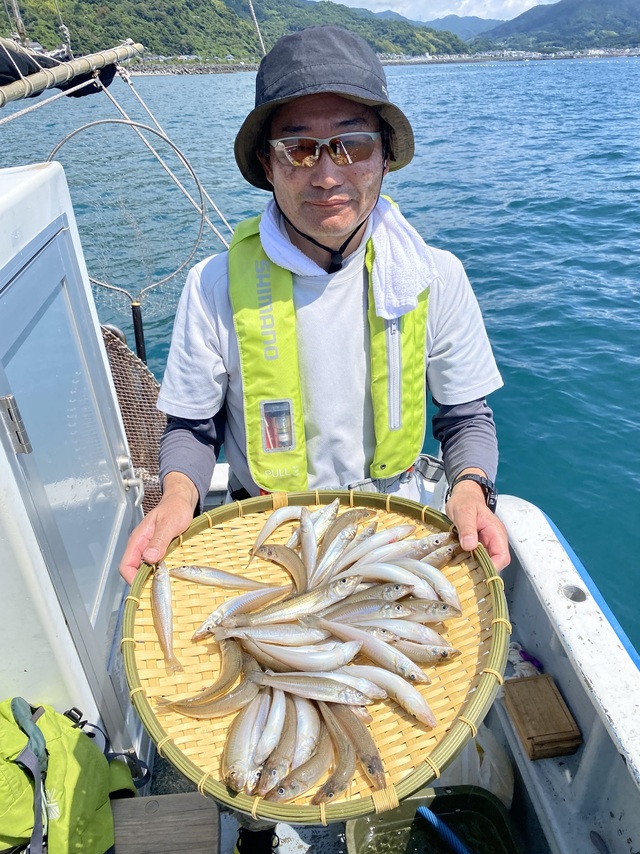 シロギス