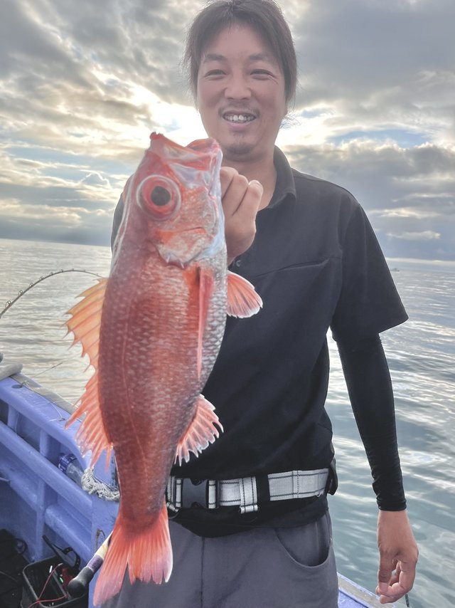 アカムツ