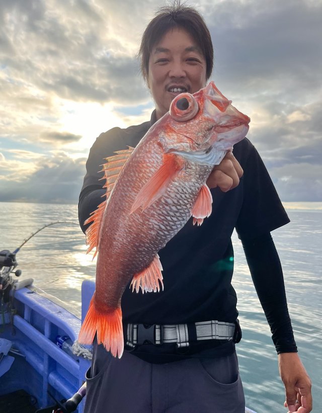 アカムツ