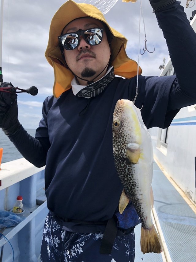 ショウサイフグ