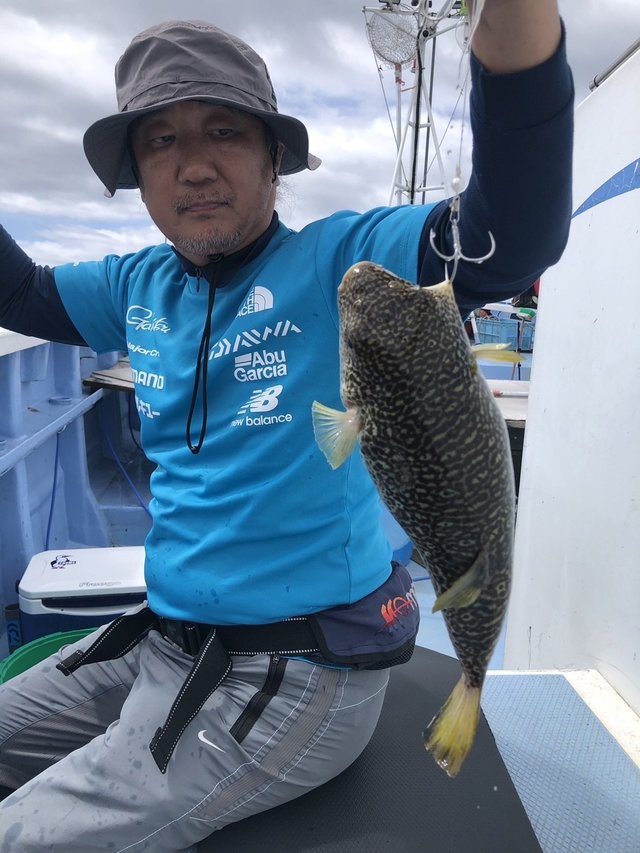 ショウサイフグ