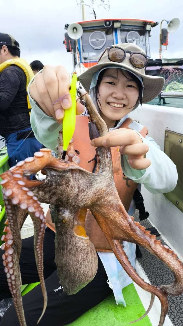 マダコ