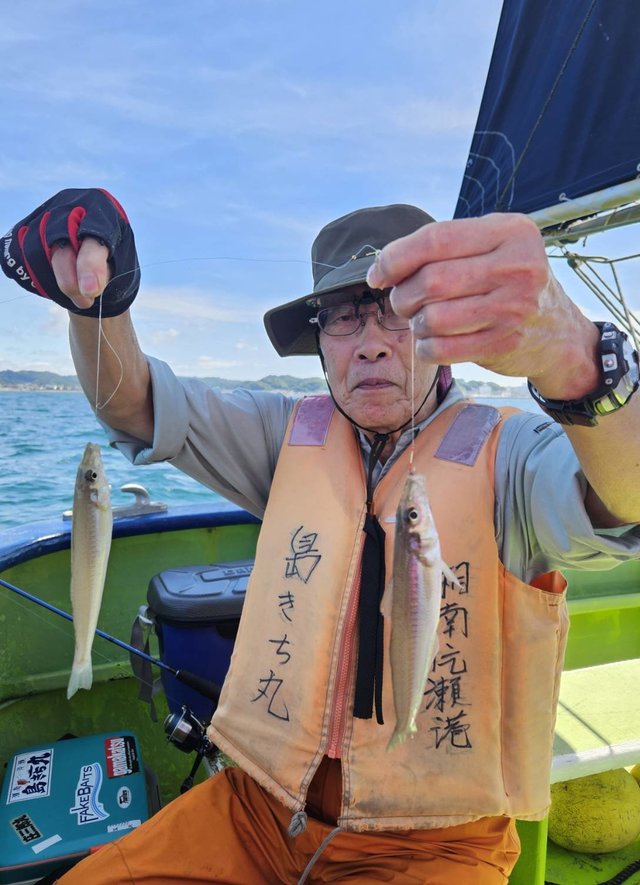 シロギス