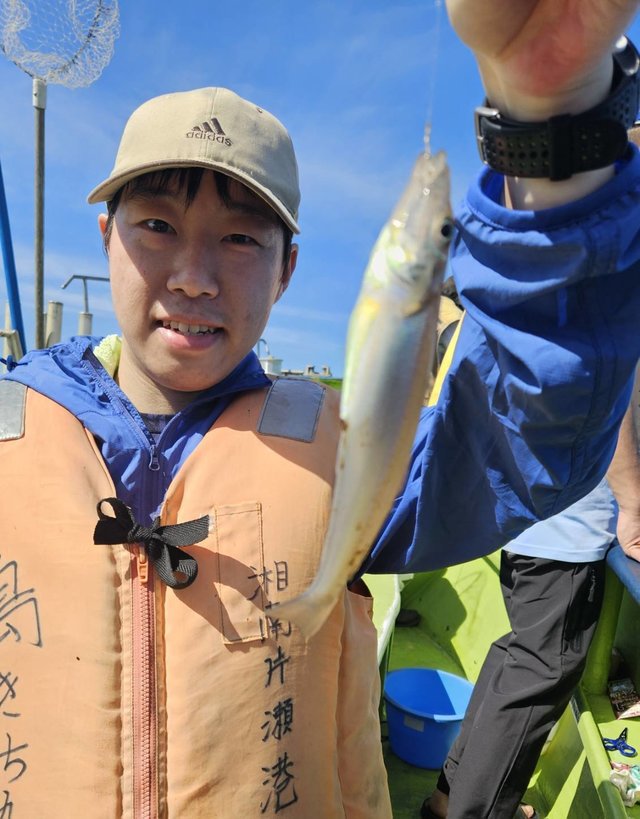シロギス