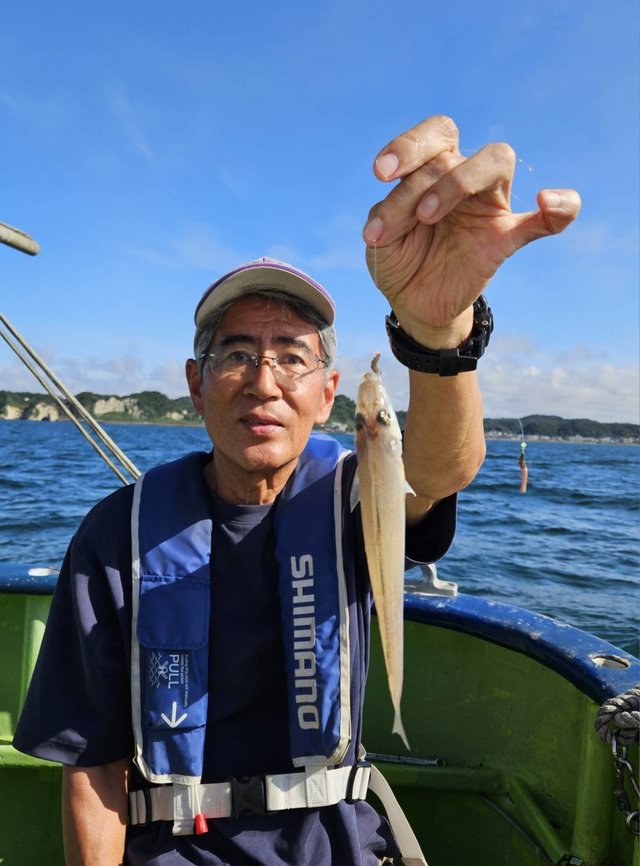 シロギス
