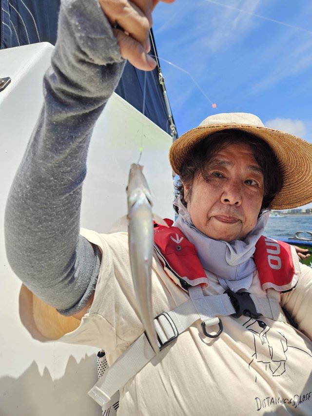 シロギス