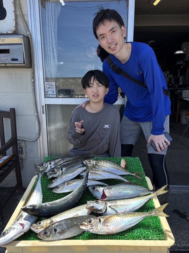アジ(マアジ)