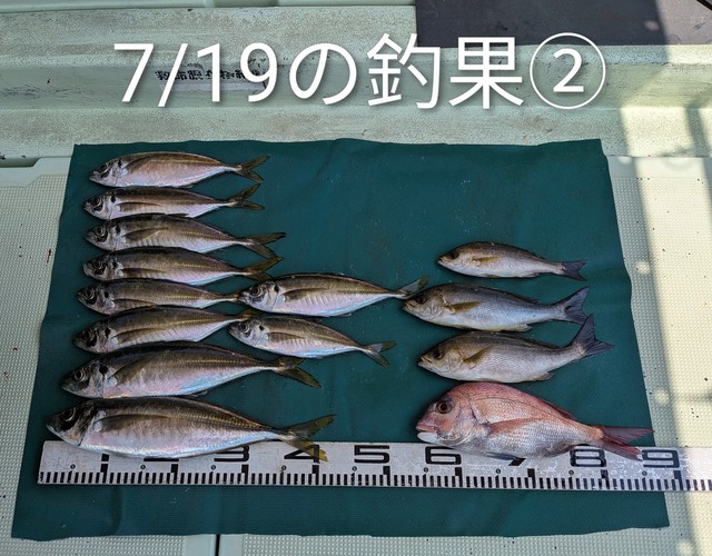マダイ・マアジ・イサキ