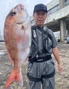 マダイ