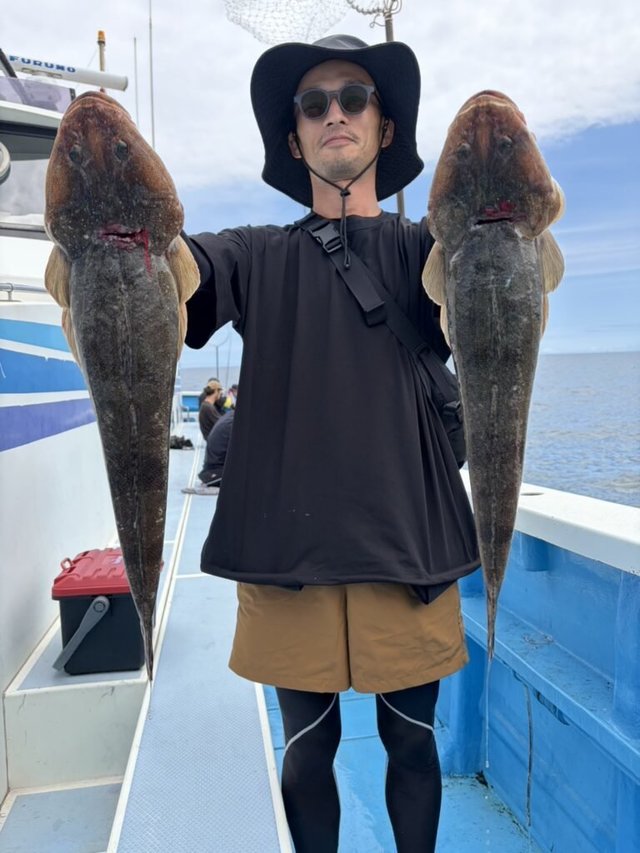 マゴチ