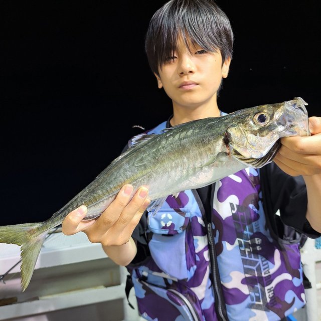 マアジ