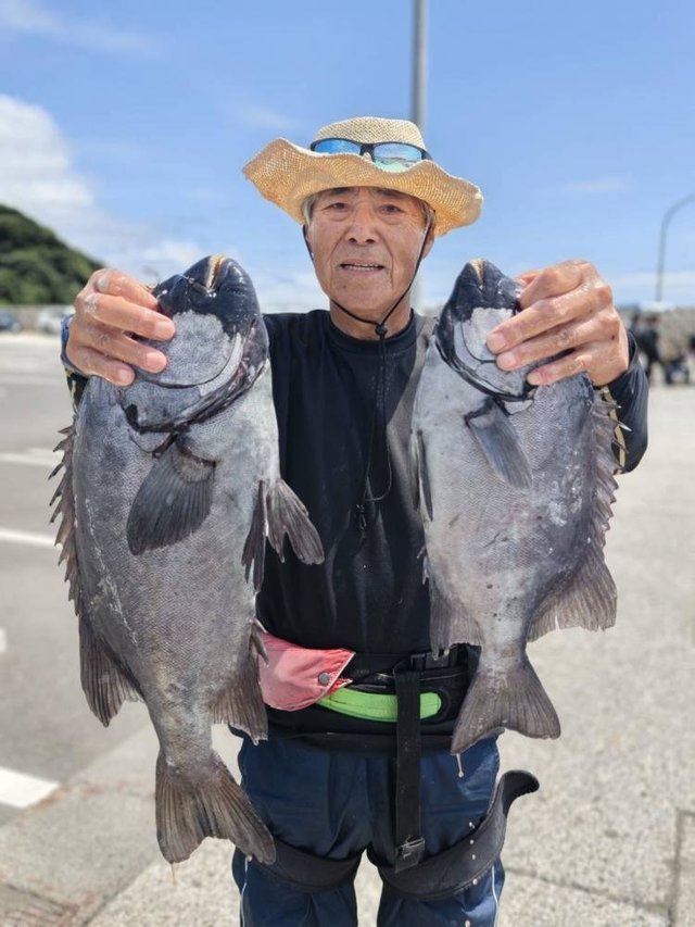 イシダイ