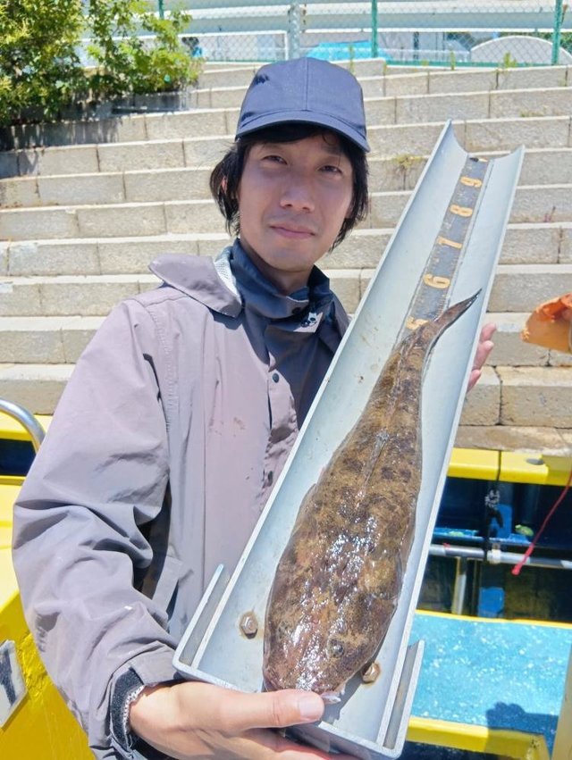 マゴチ