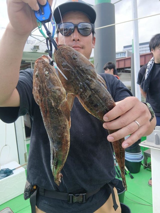 マゴチ