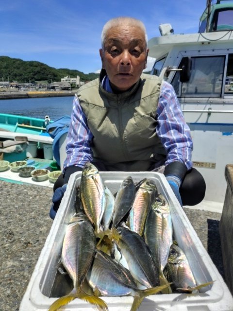 アジ(マアジ)