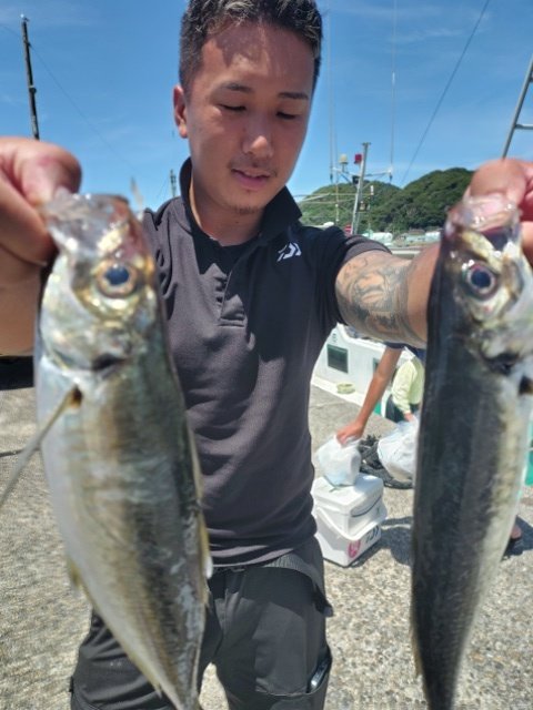 アジ(マアジ)