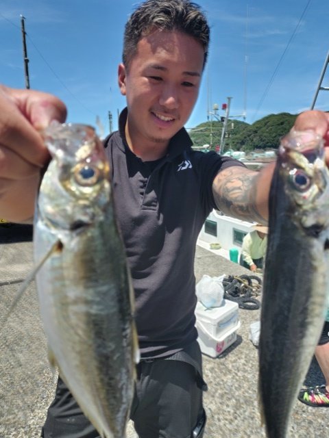 アジ(マアジ)
