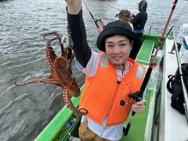 マダコ