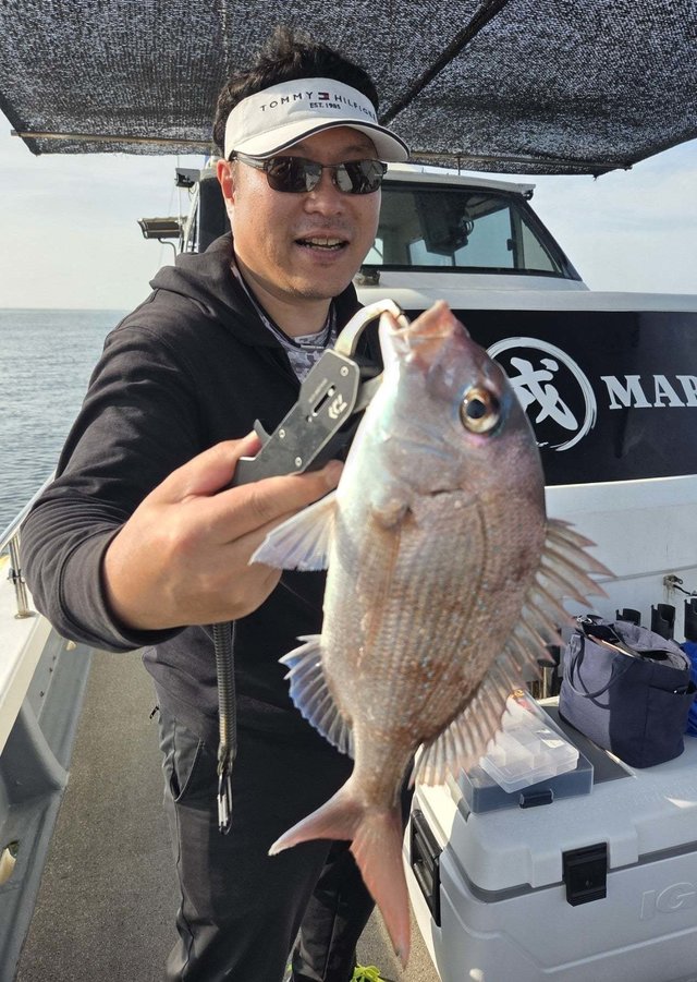 マダイ