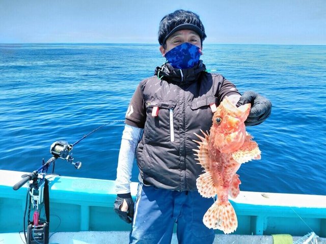 オニカサゴ