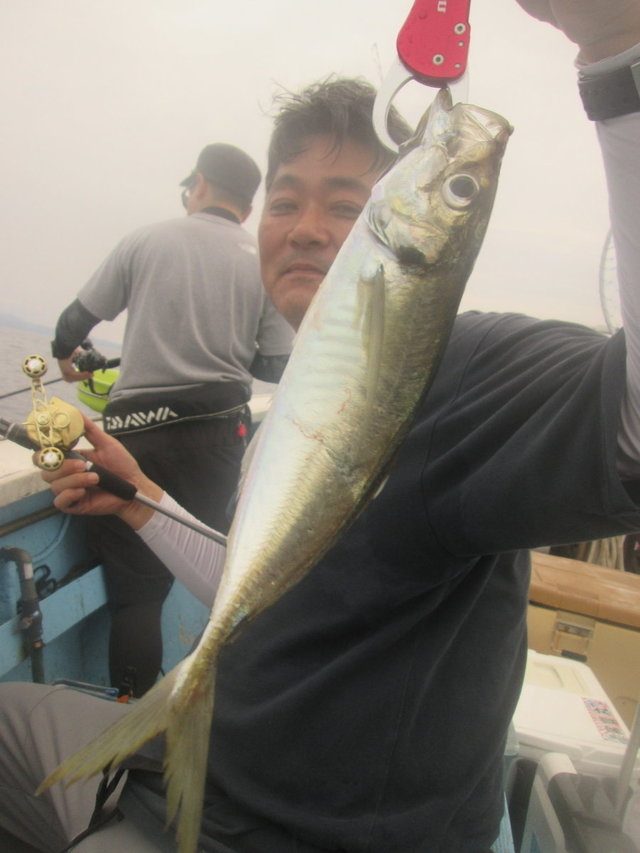 アジ(マアジ)