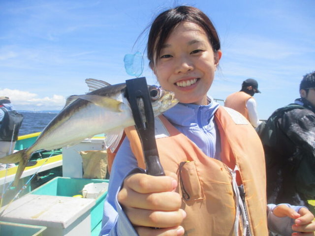 アジ(マアジ)