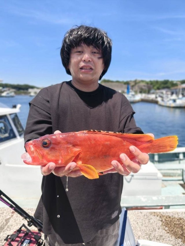 アカハタ