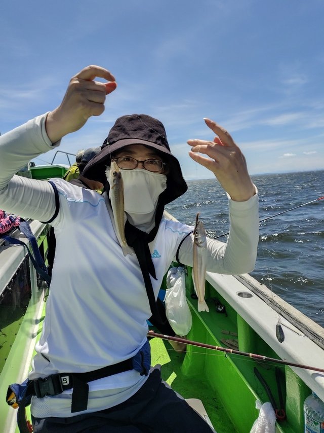 シロギス