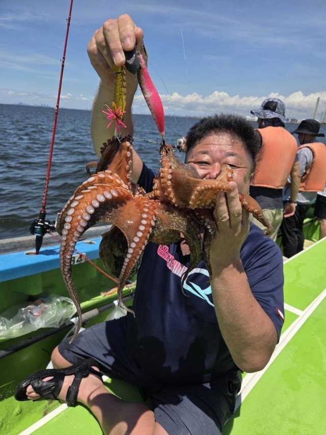 マダコ