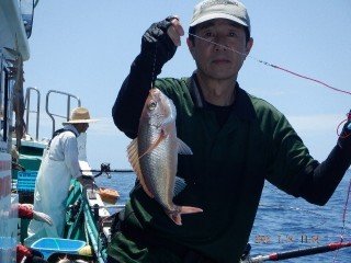 ヒメダイ