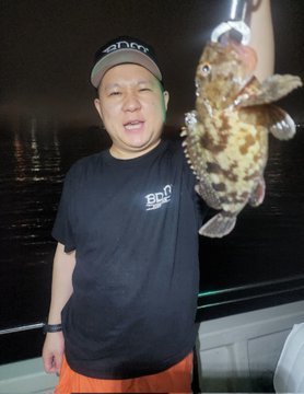 メバル