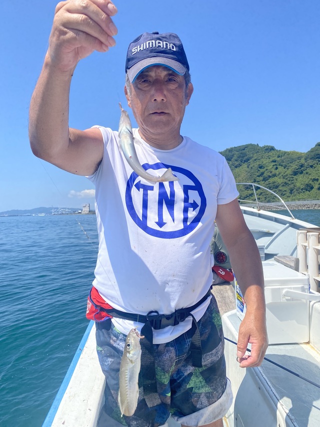 シロギス