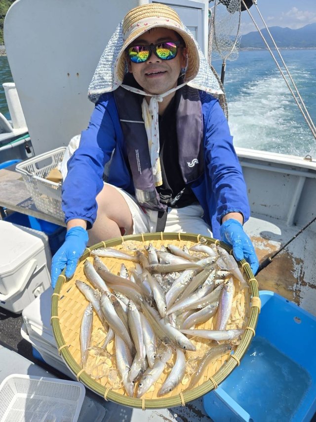 シロギス