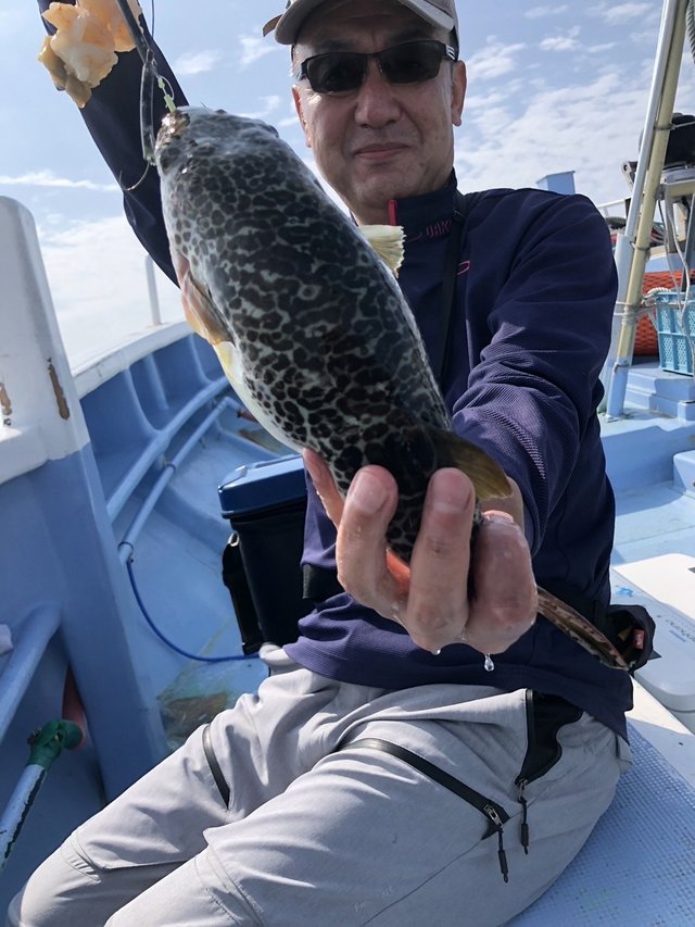 ショウサイフグ