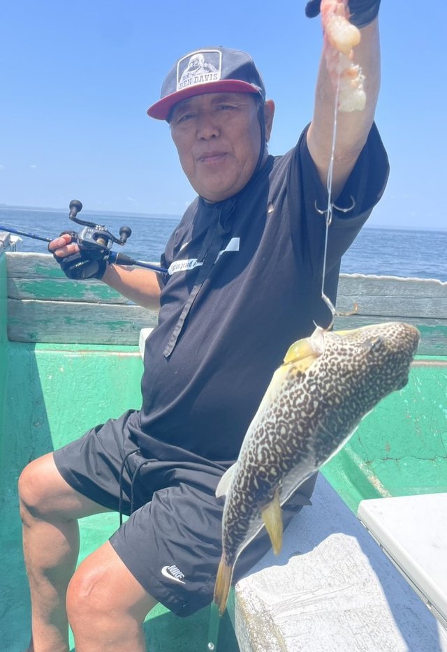 ショウサイフグ