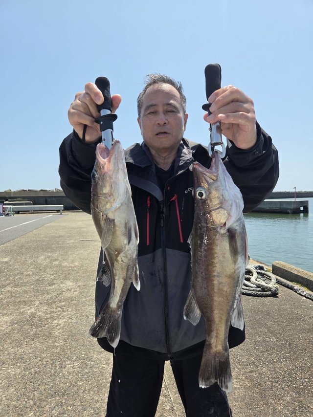 アラ