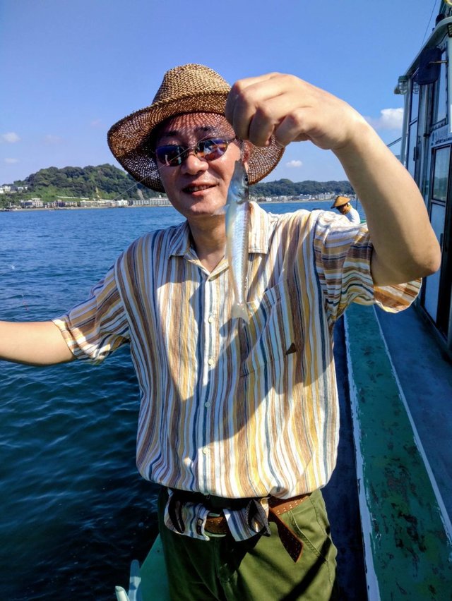 シロギス
