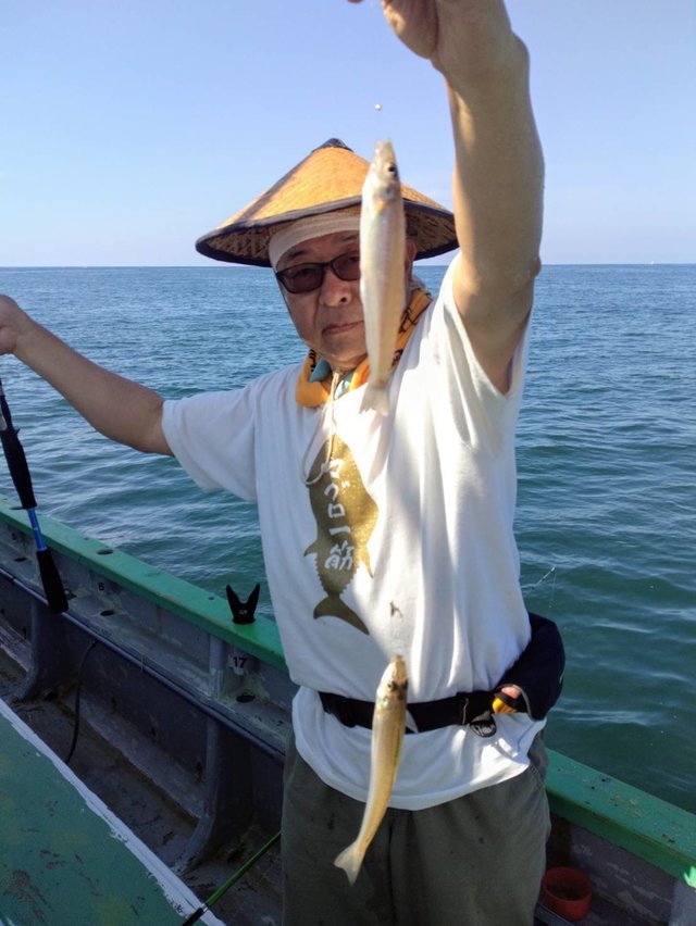 シロギス