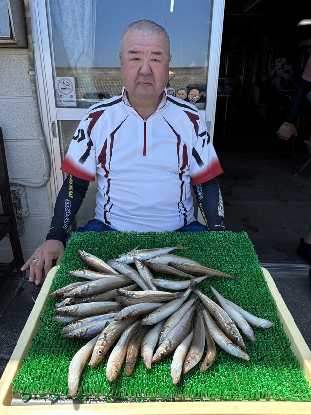 シロギス